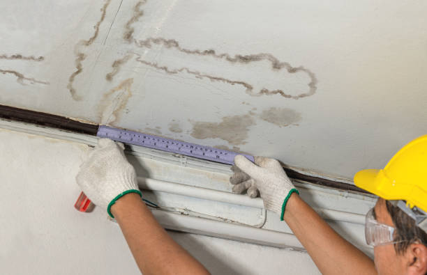 Reliable Basement Flood Cleanup contractor in Tacoma, WA by Aqua Guard Water Damage